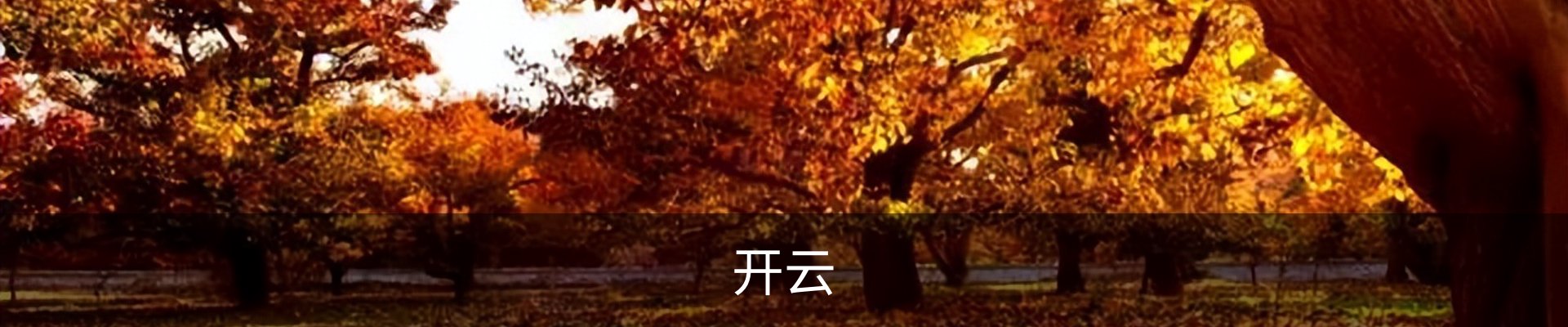 开云·体育 (kaiyun)官方网站_KAIYUN SPORT